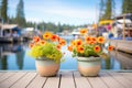 flower pots on a cottage dock with clear lake waters Royalty Free Stock Photo