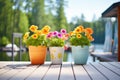 flower pots on a cottage dock with clear lake waters