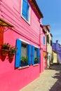 Flower pots decorate on the walls and blue windows of the pink house Royalty Free Stock Photo