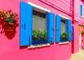 Flower pots decorate on the walls and blue windows of the pink house Royalty Free Stock Photo