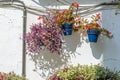 Flower pots decorating typical Andalusian houses in the old town of Estepona, Spain Royalty Free Stock Photo