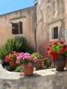 Flower pots in front of a house facade Royalty Free Stock Photo