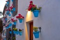 Flower pots in Granada Albaicin at sunset