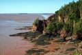 Flower Pots at Hopewell Rocks Park Royalty Free Stock Photo