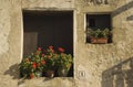 Flower pots in old windows at house number one Royalty Free Stock Photo