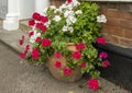 Flower pots of pink and white Geraniums