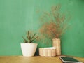 3 flower pots placed on the table