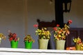 Flower pots on the porch of an authentic village house of yesteryear. Background with copy space