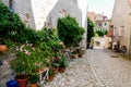 Flower pots in a public street