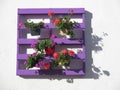 Purple pallet with flowers Royalty Free Stock Photo
