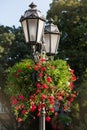 Flower pots with red geranium flowers hanging on a lighting pole with retro lanterns