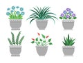 Flower Pots Set of Grey Color Vector Illustration