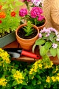 Flower pots and shovel pot in green garden Royalty Free Stock Photo