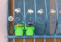 Flower pots stand on a window with iron bars Royalty Free Stock Photo