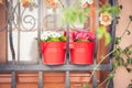 Flower pots stand on a window with iron bars Royalty Free Stock Photo