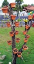Flower pots on tree Royalty Free Stock Photo