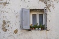 Flower Pots in a Window Royalty Free Stock Photo