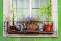 Flower pots on a windowsill of an old decayed house