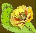 flower of the prickly pear