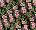 Flower primrose cherry blossom handprinted seamless pattern Royalty Free Stock Photo