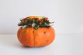 Flower pumpkin on white background. Autumn bouquet in a pumpkin. Flower arrangement Royalty Free Stock Photo