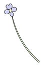 Flower. Purple Petals. Flowering Plant. Cartoon Style