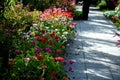 flower pyramid in the urban environment in the pedestrian zone blooms