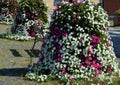 Flower pyramid in the urban environment in the pedestrian zone blooms red and white annuals this is a seasonal ornamental column i