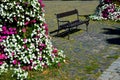 Flower pyramid in the urban environment in the pedestrian zone blooms red and white annuals this is a seasonal ornamental column i