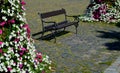 Flower pyramid in the urban environment in the pedestrian zone blooms red and white annuals this is a seasonal ornamental column i