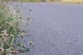 Flower and road abstract.view vintage style.