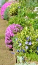 The flower rockery in a garden