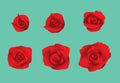 Flower Rose Blooming Sequence Frame Vector Royalty Free Stock Photo