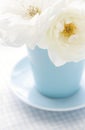 Flower rose in a light blue vase Royalty Free Stock Photo