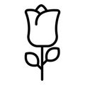 flower, rose, nature simple line