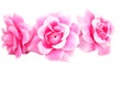 Flower rose pink on white background,fake Royalty Free Stock Photo