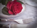 Flower rose plate on concrete background celebration