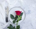 Flower rose plate on concrete background dishware celebration