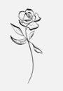 Flower Rose, sketch, painting. Hand drawing. White bud, petals, stem and leaves. Monochrome, Black and white illustration Royalty Free Stock Photo