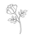 Flower - rose with a stalk and leaves - a flower as a gift - vector rose - a linear picture for coloring. Outline. Royalty Free Stock Photo