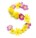 natural fresh yellow pink flower Letter s freshly picked in spring Royalty Free Stock Photo