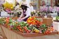 Flower salesman prepares bouquets of tulips for sale in the shopping center `Petrovsky Passage` in Moscow focus on flowers Royalty Free Stock Photo