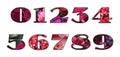 Flower script digits