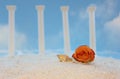 Flower and Sea Shell on Beach With Roman Ruins
