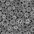 Flower seamless (black and white colors) Royalty Free Stock Photo