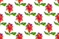 Abstract floral seamless pattern with doodle rose. Summer background Royalty Free Stock Photo