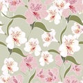 Flower seamless pattern with beautiful alstroemeria lily flowers branch on green background template. Royalty Free Stock Photo