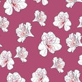 Flower seamless pattern with beautiful alstroemeria lily flowers on dark pink background template. Royalty Free Stock Photo