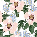 Flower seamless pattern with beautiful orangey peony and forget-me-not flowers on white background template. Royalty Free Stock Photo