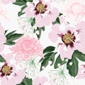 Flower seamless pattern with beautiful pink peony and chrysanthemum flowers on white background template. Royalty Free Stock Photo